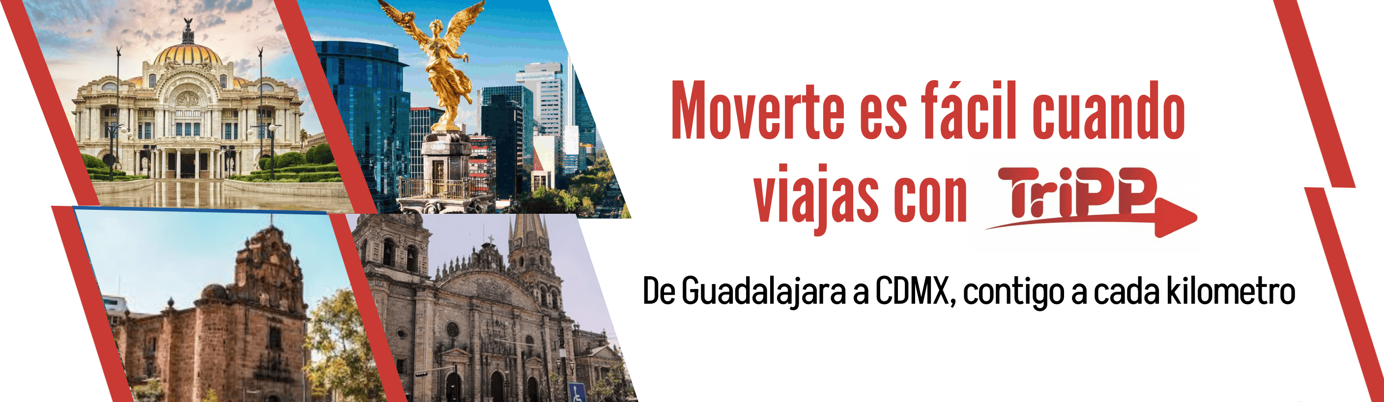 imagen promocional 4